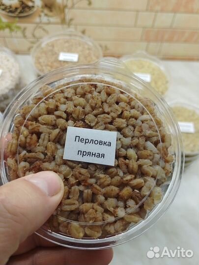 Перловка насадочная