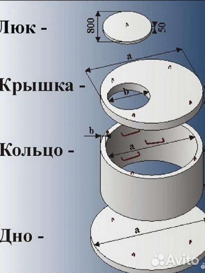 Кольца жби