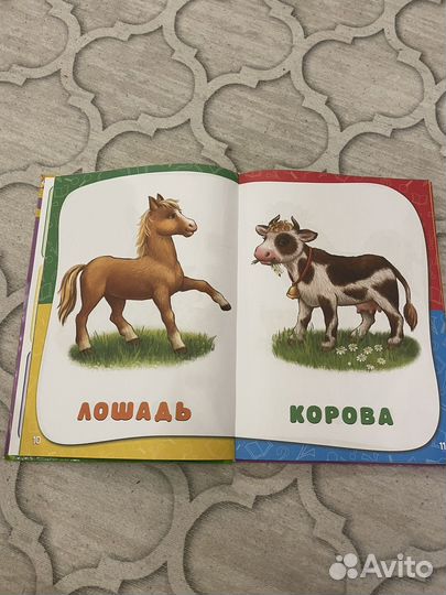 Годовой курс занятий