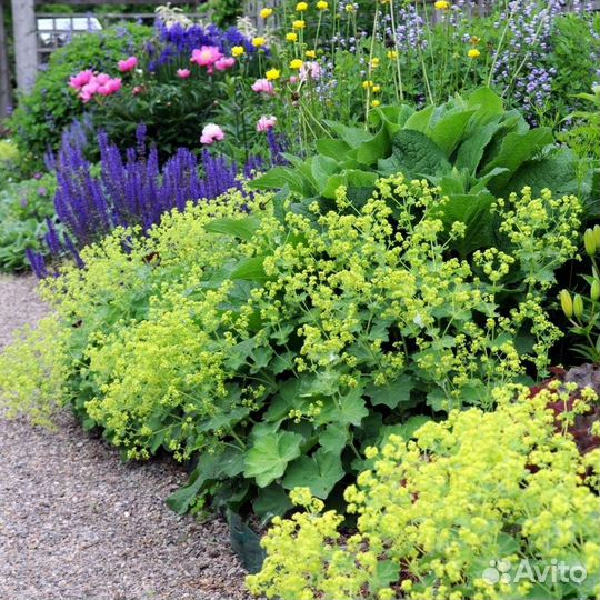 Манжетка мягкая