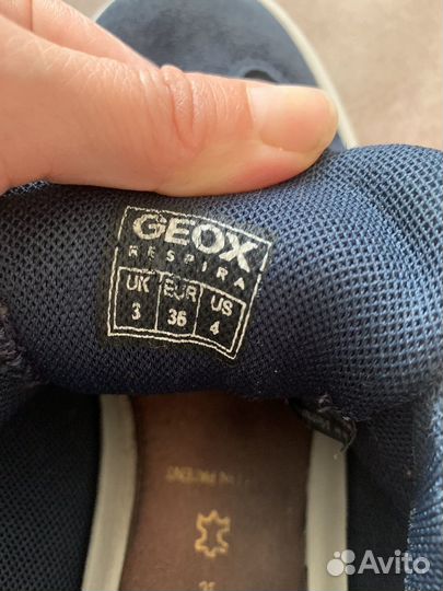 Кеды geox 36