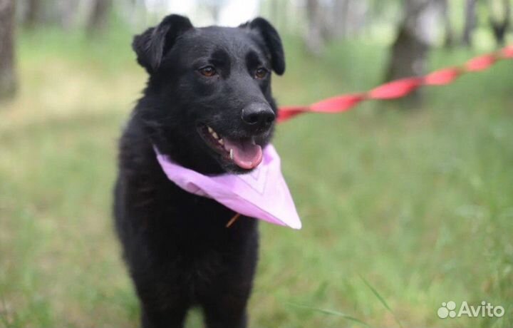 Лиз.Только посмотрите на неё