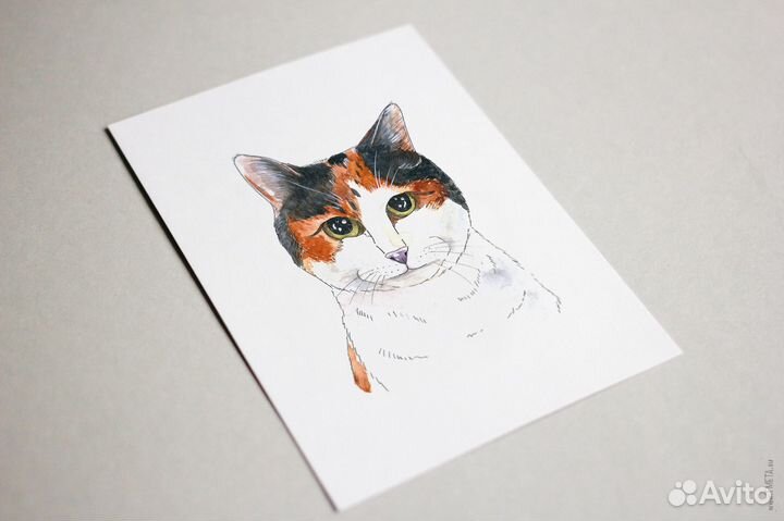 Подарок близким. Портрет кота, собаки на заказ