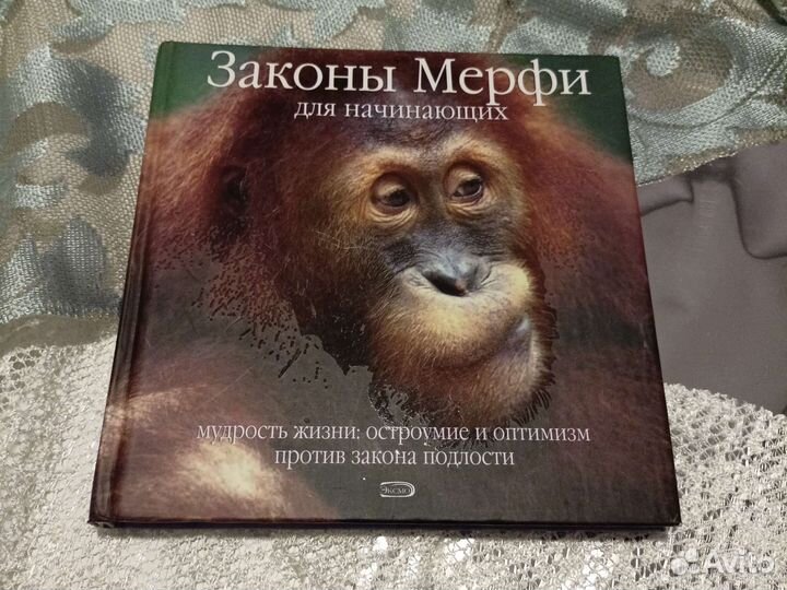 Законы Мерфи для начинающих книга