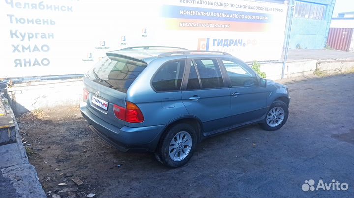 Уплотнитель стекла двери переднего левого BMW X5 (E53) 51328402555. Внутренний