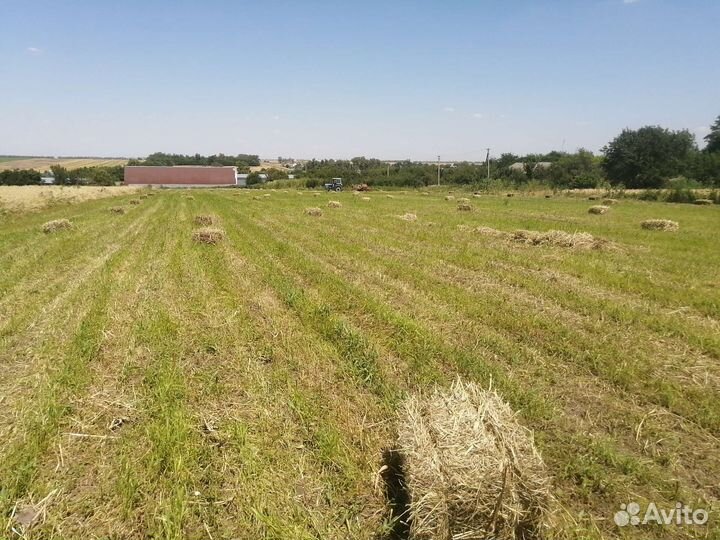 Сено в тюках