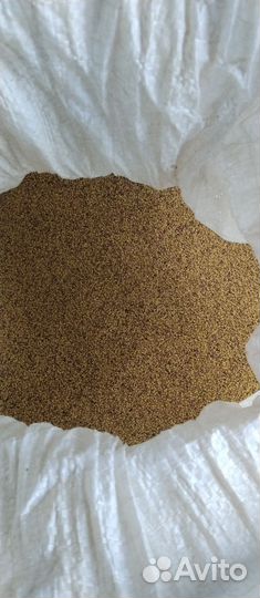 Семена клевера