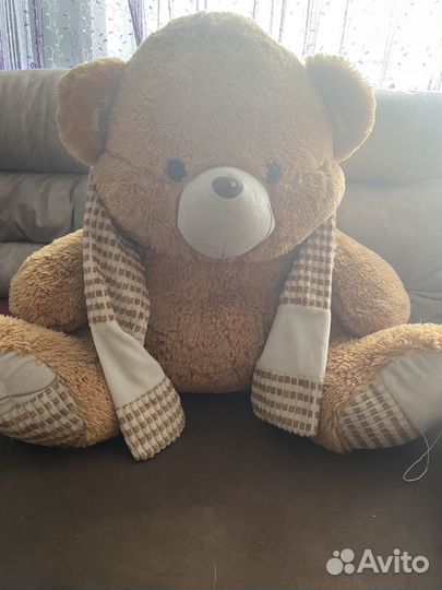 Плюшевый медведь