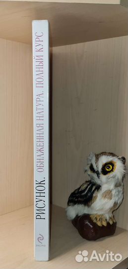 Чиварди Джовани. Рисунок: обнаженная натура: полны