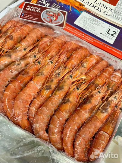 Лангустины с головой