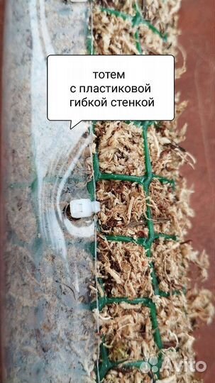 Тотем (опора) для растений