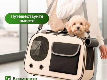 Сумка переноска для животных, Астана