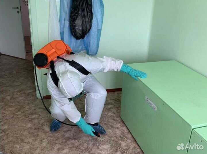 Уничтожение тараканов, клопов Обработка от клещей