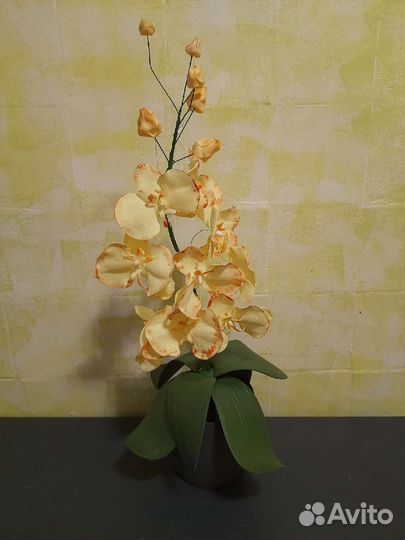 Музыка ветра