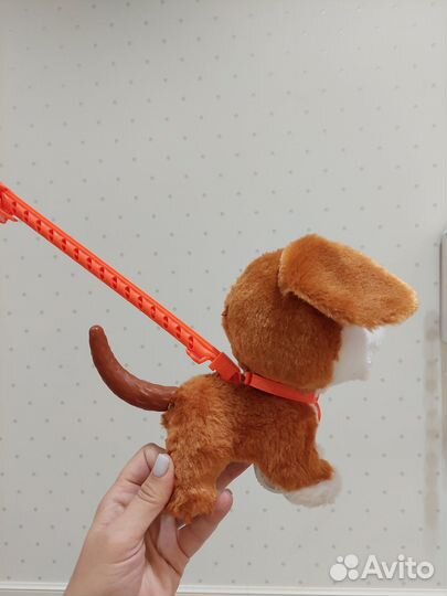 Собака каталка