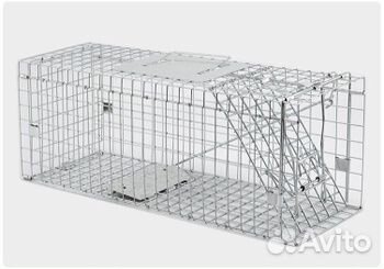 Аренда котоловки, кошколовка