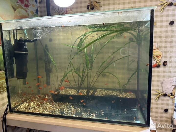 Аквариум комплект
