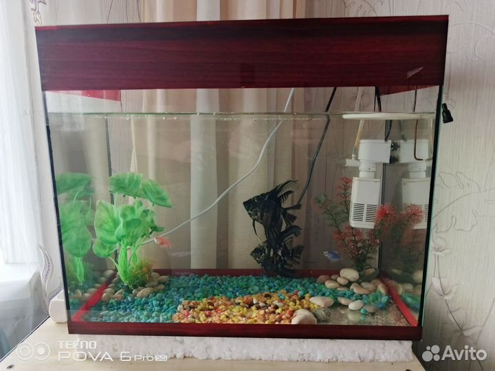Аквариум с рыбками