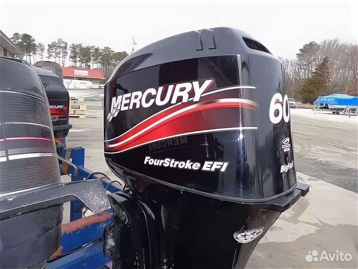 Mercury F60 EFI