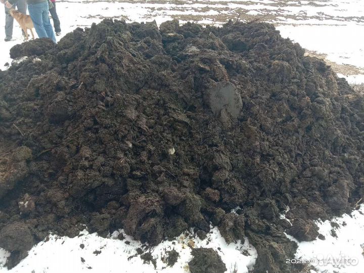 Навоз Лежалый Коровий