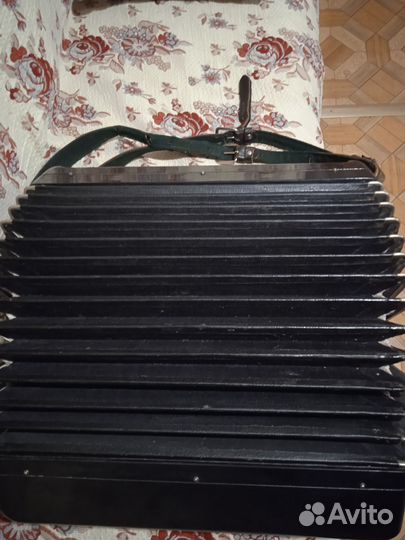 Баян тульский