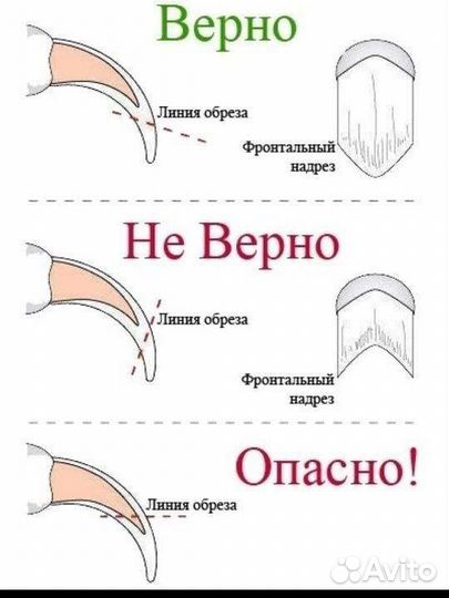Новый Когтерез,Когтерезка для животных
