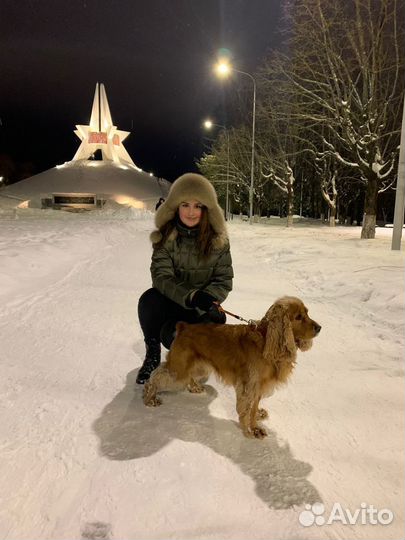 Выгул собак