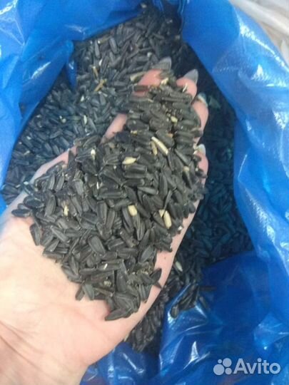 Зерно, отруби, кукуруза, горох, семечка, просо