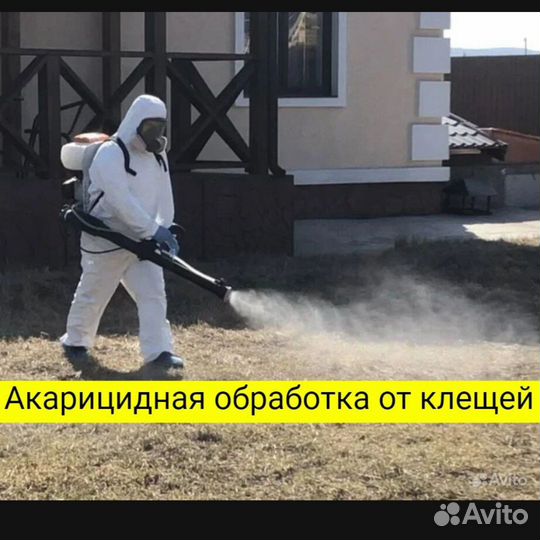 Уничтожение тараканов,клопов,грызунов,клещей