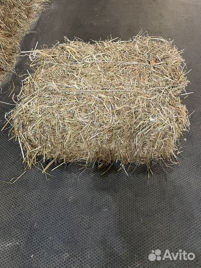 Сено в тюках