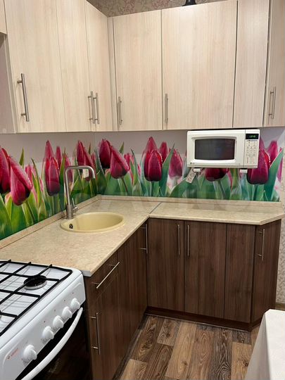 1-к. квартира, 42,8 м², 1/5 эт.