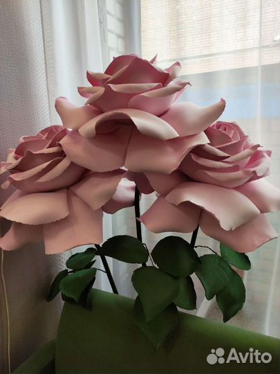 Роза на фотосессиию. Витрины магазина