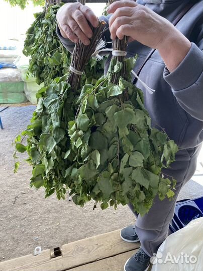 Веники для бани