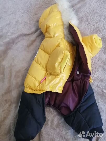 Одежда для собак мелких пород