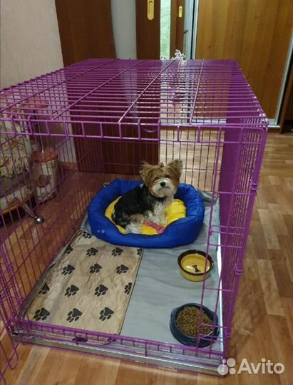Клетка для собак и кошек