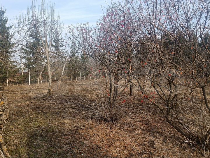 Участок 17 сот. (ИЖС)