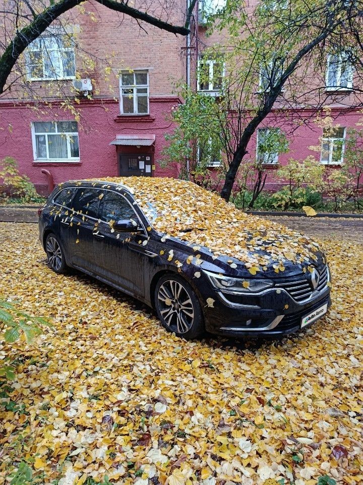 Renault Talisman: фото из отзыва