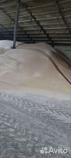 Отруби пшеничные оптом