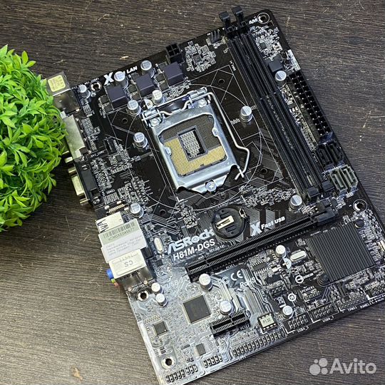 Материнская плата asrock h81-m-dgs lga1150