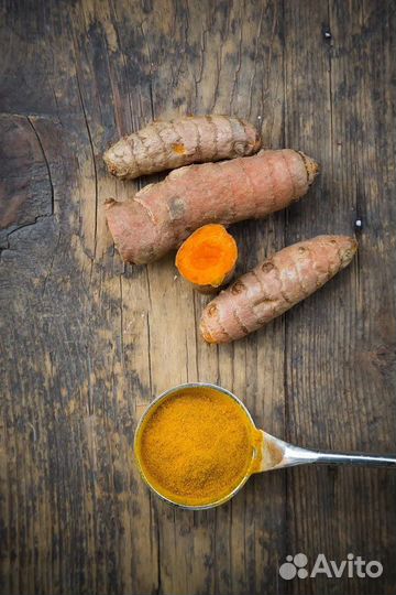 Корень куркумы