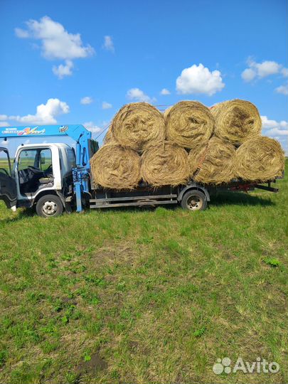 Продам сено в рулонах