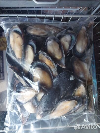 Мидии зелёные