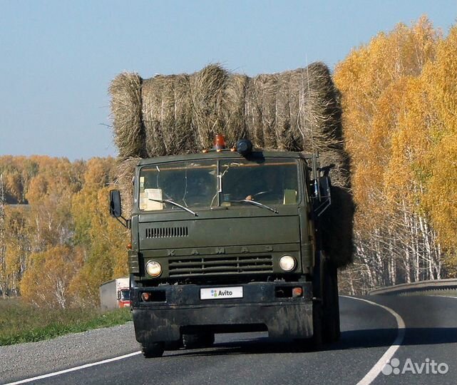 КамАЗ 5320, 1985