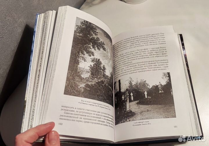 Е. В. Петрушина 