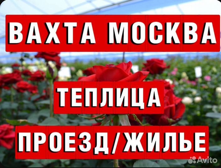 Вахта Москва упаковщики без опыта Жилье Проезд