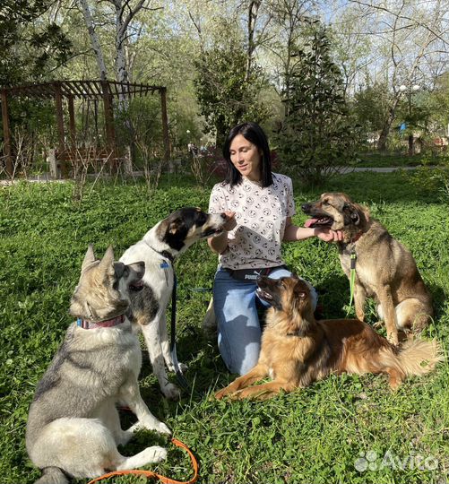 Кинолог зоопсихолог