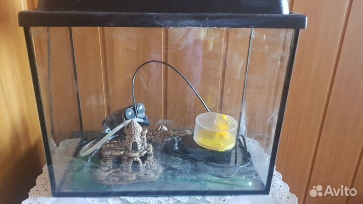 Аквариум