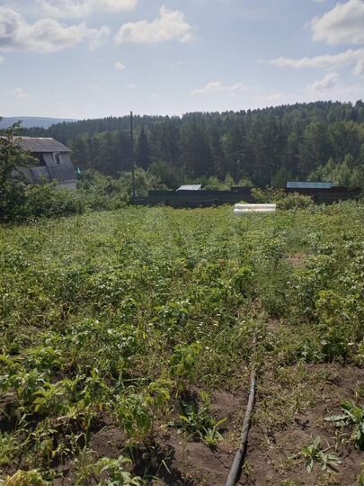 Участок 10 сот. (СНТ, ДНП)