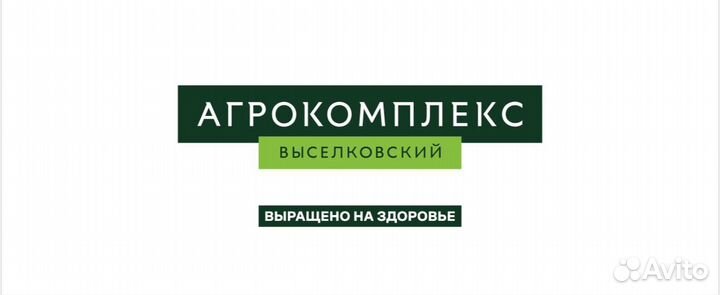 Продавец (ул. Горького)