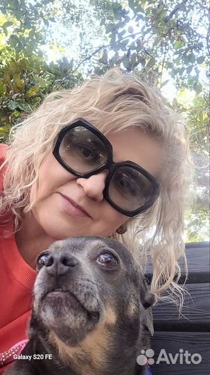 Выгул собак